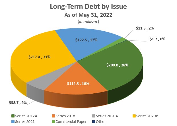 Long-Term Debt by Issue