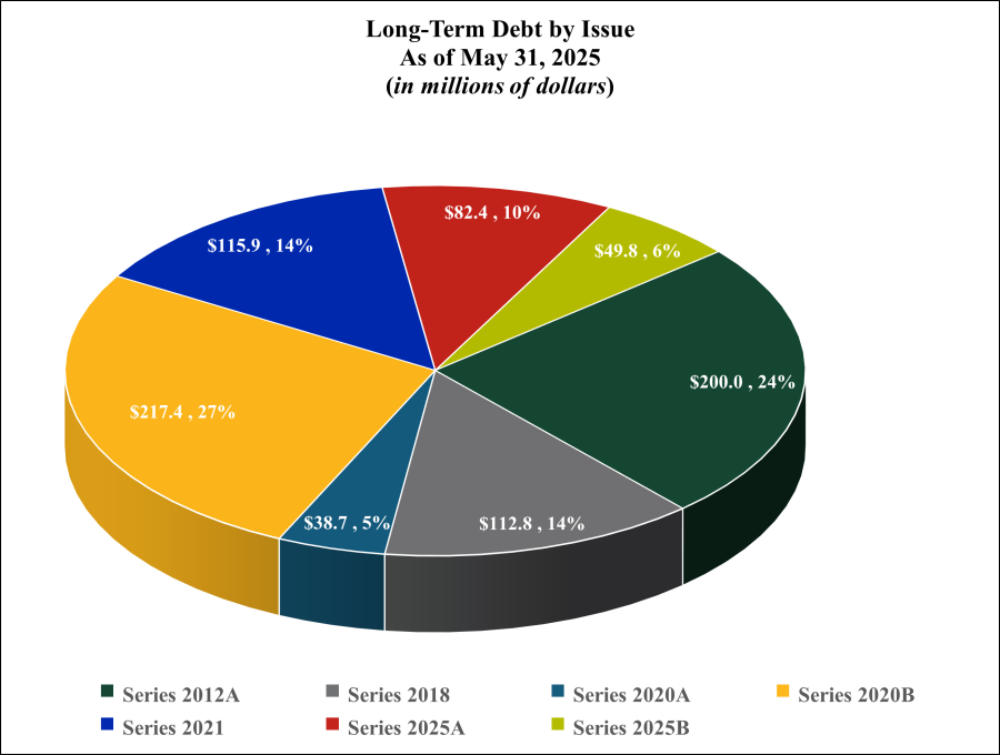 Long-Term Debt by Issue